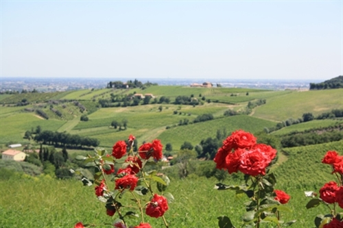 WINE AND DINE ROUTE TROUGHT THE HILLS OF FORLI&#39; AND CESENA